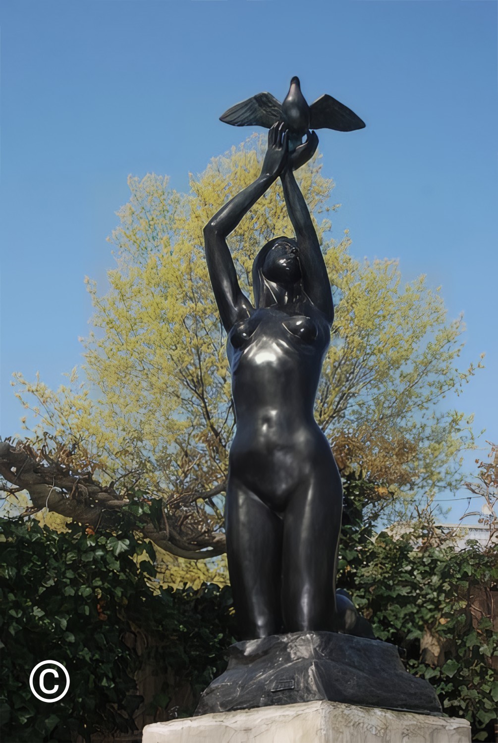 The Peacemaker-a young women on her knees, an expression of humility. Her hands above her head symbolizing openness giving flight to a dove (Hope)